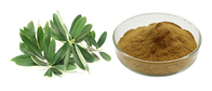 Natural Herbal Oleuropein Olive Leaf Extract Powder