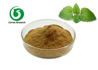 Lemon Balm Herbal Extract Powder Melissa Officinalis Extract