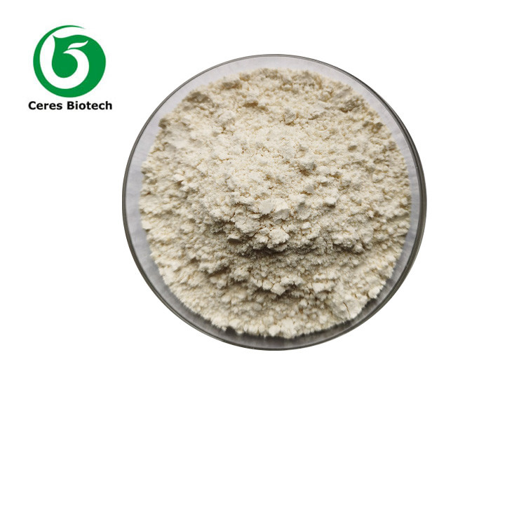 Food Grade 99% Purity L-Carnitine Steroids Powder Lose Weight