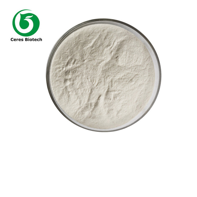 CAS 541-15-1 Amino Acid L-Carnitine Powder Losing Weight Anti Fatigue