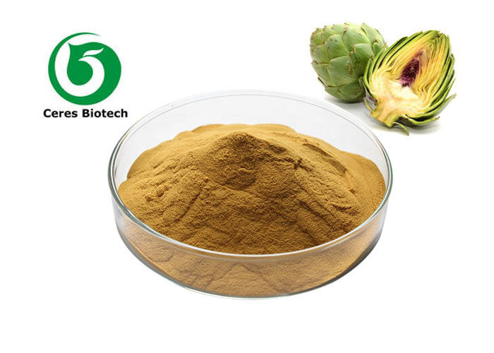Natural Herbal Artichoke Extract Powder