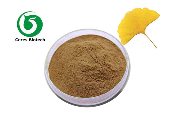 Ingrediente ativo de flavonas 100% natural Ginkgo Biloba Leaf Extract em pó