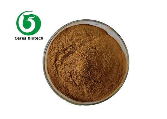 Descubra os benefícios para a saúde do extrato de bordo de açúcar da planta Astragalus Membranaceus